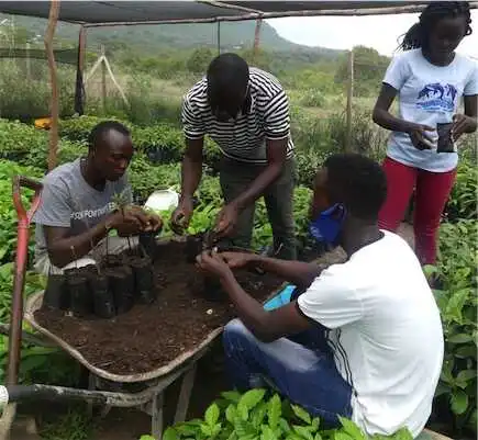 Aliore | Bénévole dans un écovillage au Kenya