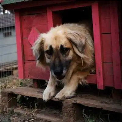 Aliore | Volunteer in a shelter in Thessaloniki