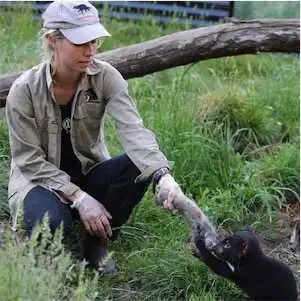 Aliore | Volunteer in Australia at a Devils Tasmania sanctuary