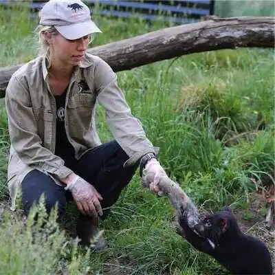 Aliore | Volunteer in Australia at a Devils Tasmania sanctuary