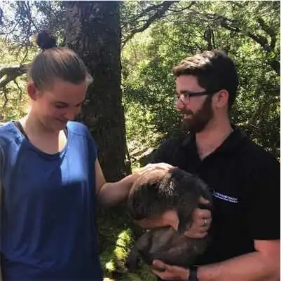 Aliore | Volunteer in Australia at a Devils Tasmania sanctuary