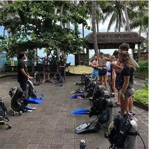 Aliore | Volunteer in Bali on a coral conservation project