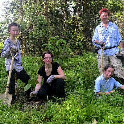 Aliore | Volunteering for wildlife protection in Borneo, Malaysia