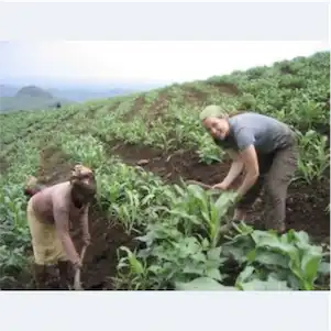 Aliore | Bénévolat dans un éco-village au Cameroun