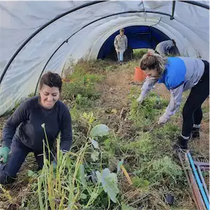 Aliore | Bénévolat dans un éco-village en Allemagne