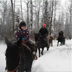 Aliore | Bénévole dans une ferme ou un ranch au Canada