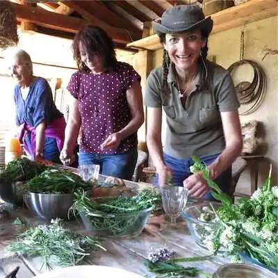 Aliore | Edible Wild plants workshop, midway between Hérault and Tarn region