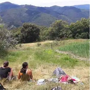 Aliore | Edible Wild plants workshop, midway between Hérault and Tarn region