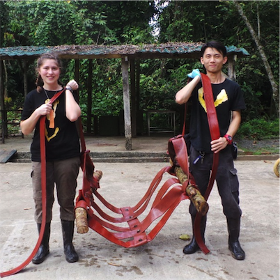 Aliore | Volunteering with sun bears on the island of Borneo