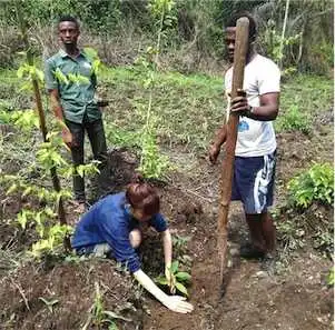 Aliore | Bénévole dans une ferme bio en permaculture au Togo