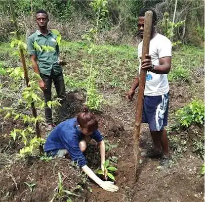 Aliore | Bénévole dans une ferme bio en permaculture au Togo