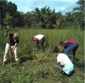 Aliore | Bénévole dans une ferme bio en permaculture au Togo