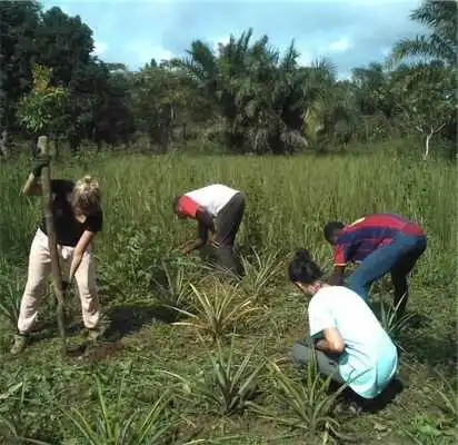 Aliore | Bénévole dans une ferme bio en permaculture au Togo