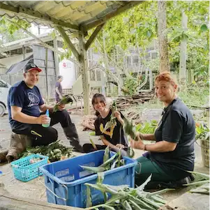 Aliore | Volunteering with sun bears on the island of Borneo