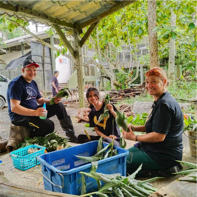 Aliore | Volunteering with sun bears on the island of Borneo