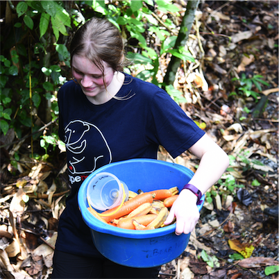 Aliore | Volunteering with sun bears on the island of Borneo