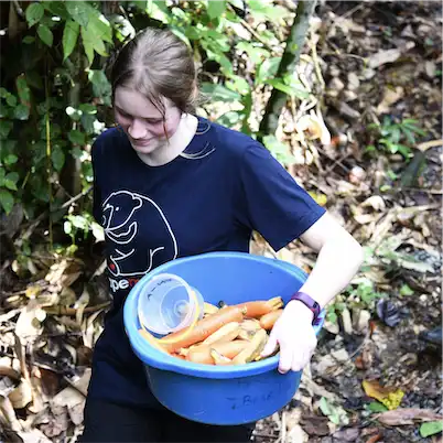 Aliore | Volunteering with sun bears on the island of Borneo