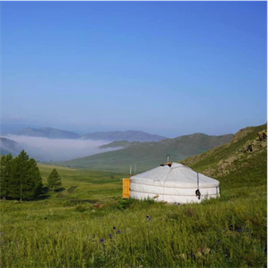 Aliore | Cultural stay in Mongolia