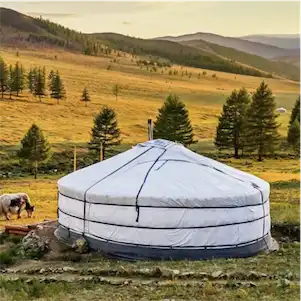 Aliore | Cultural stay in Mongolia