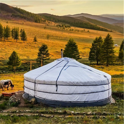 Aliore | Cultural stay in Mongolia