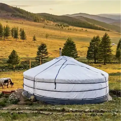 Aliore | Cultural stay in Mongolia