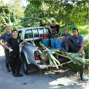 Aliore | Volunteering with sun bears on the island of Borneo