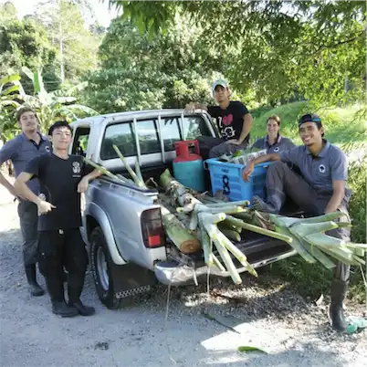 Aliore | Volunteering with sun bears on the island of Borneo