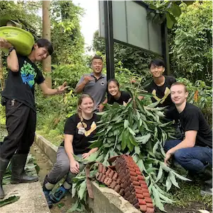 Aliore | Volunteering with sun bears on the island of Borneo