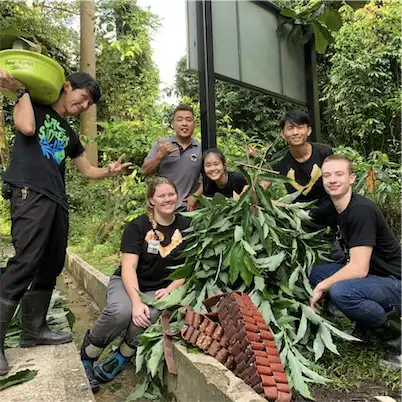 Aliore | Volunteering with sun bears on the island of Borneo